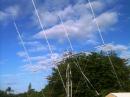 NZ5N 2m array